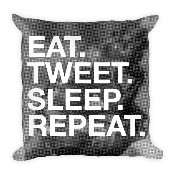 Eat | Sleep | Tweet | Repeat - PILLOW